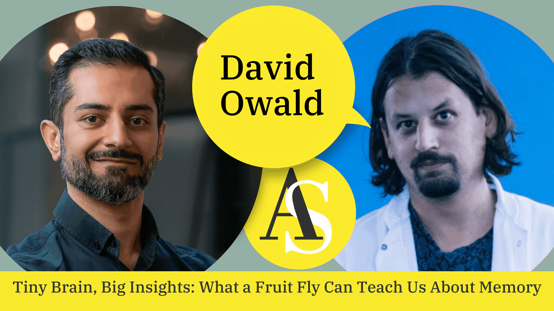 David Owald - Tiny Brain, Big Insights: What a Fruit Fly Can Teach Us About Memory